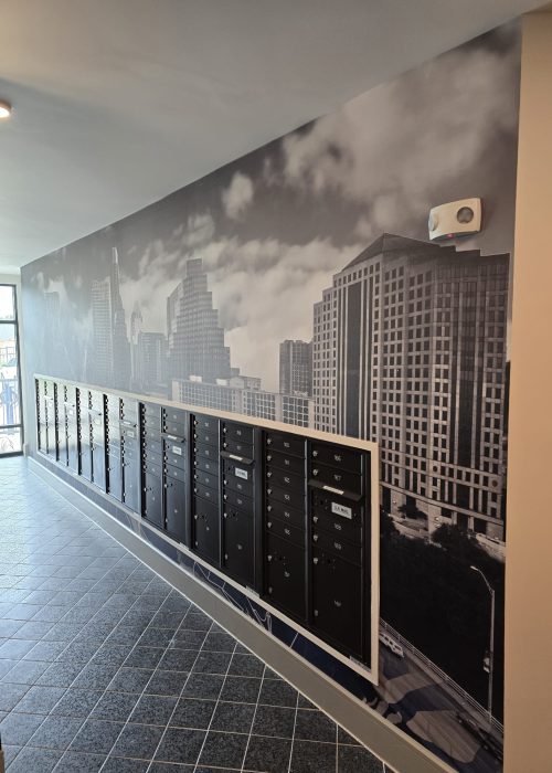 WhatsApp Image 2026-03-25 at 10.50.27 AM